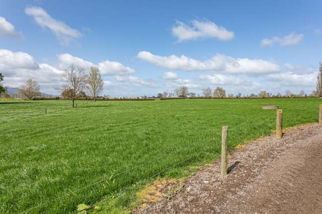 211 Maiseys Road Waharoa_3