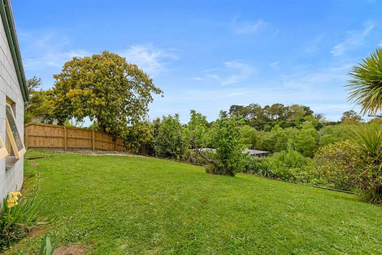 4 Oak Street Morrinsville_1