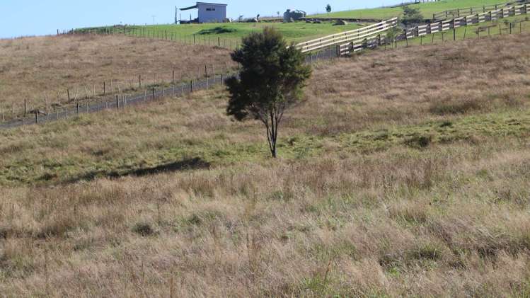 Kerr Road Parua Bay_4