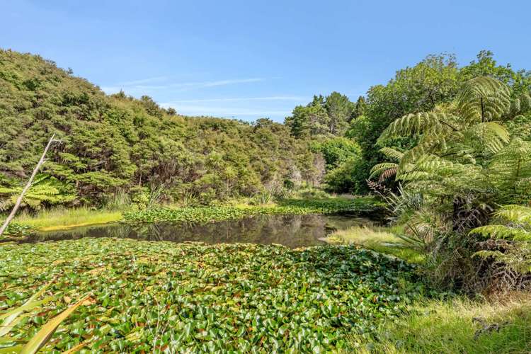 14 Ohuka Place Whitianga_13