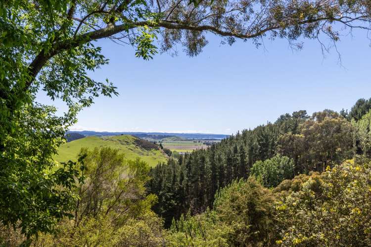 40 Longview Road Poraiti_40