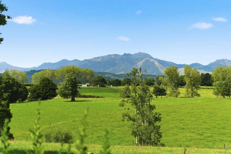 641 Tokiri Road Titoki_19