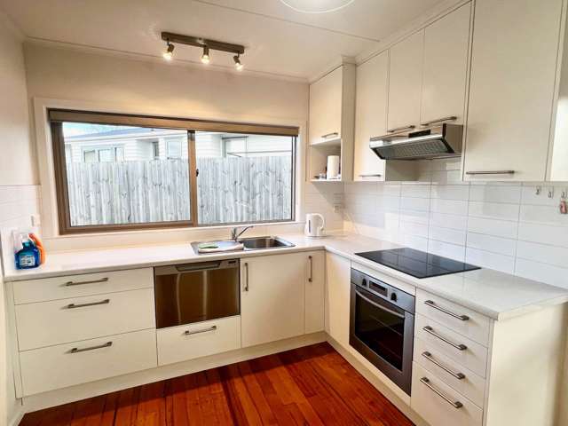 3A Henry Curd Terrace Pukekohe_1