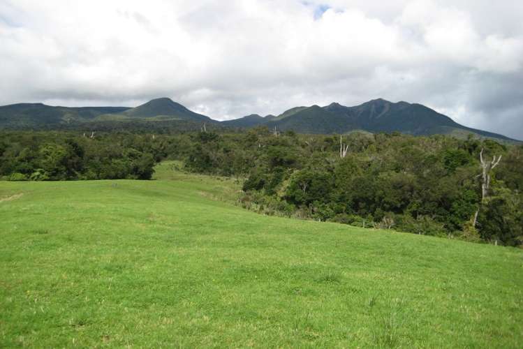 1113 Plymouth Road Koru_2