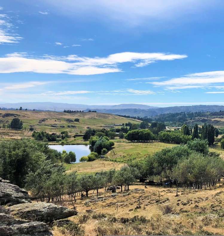 196 Chapman Road Alexandra_10