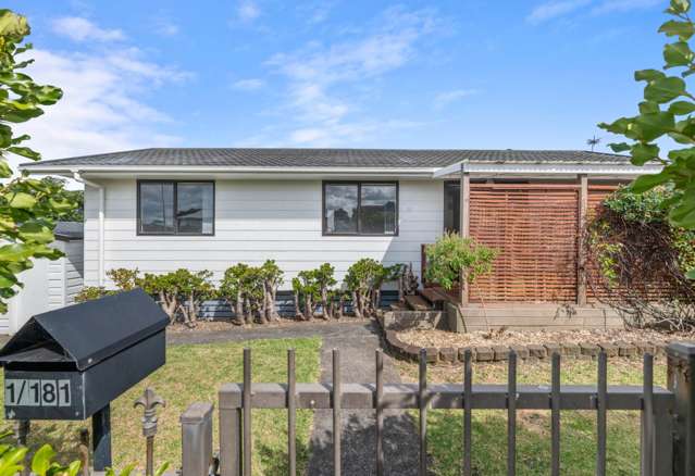 1/181 Finlayson Avenue Clendon Park_2