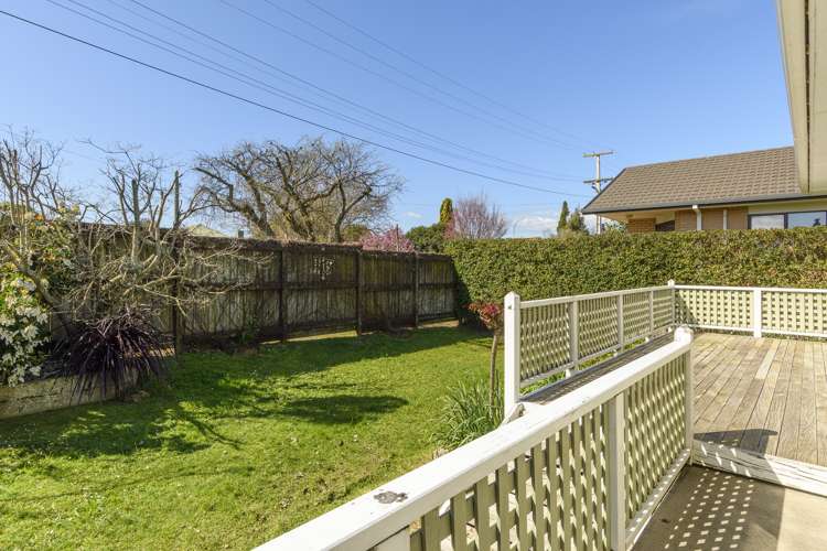 22 Maitland Street Greerton_14