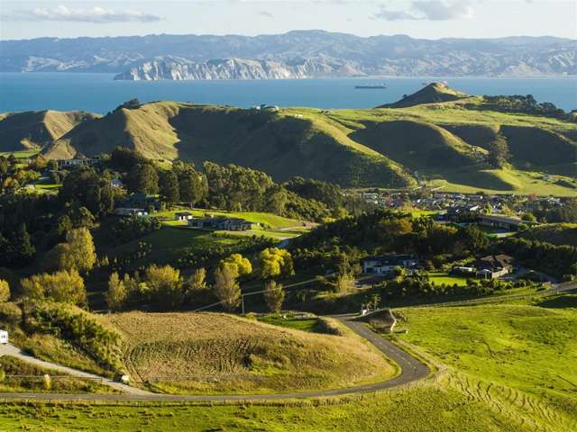 Wheatstone Road Wainui_1