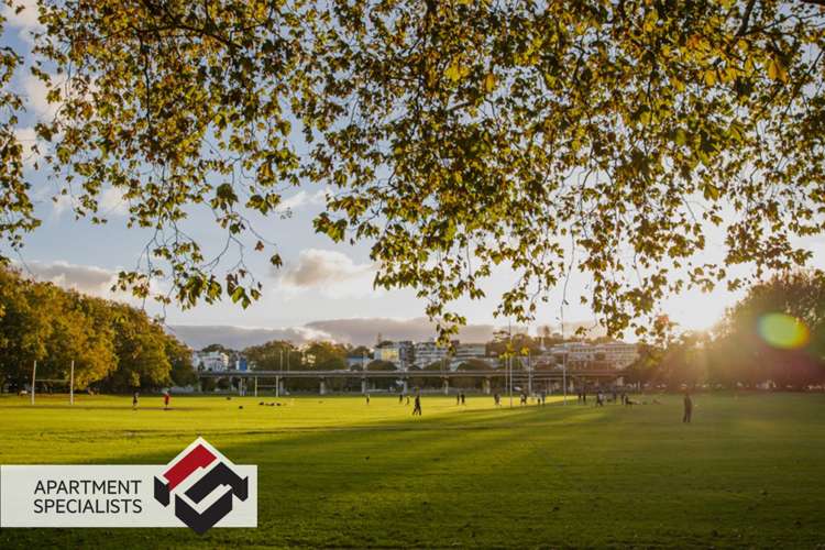 4a Wilkins Street Freemans Bay_19