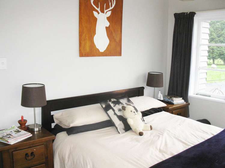 300 Shewan Road Gordonton_14