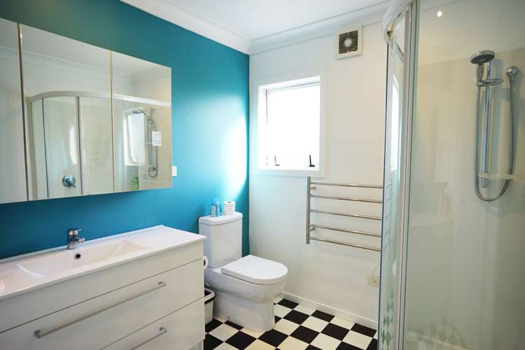 223 Pine Valley Road Dairy Flat_7