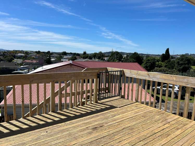 Matthews Road Flat Bush_7