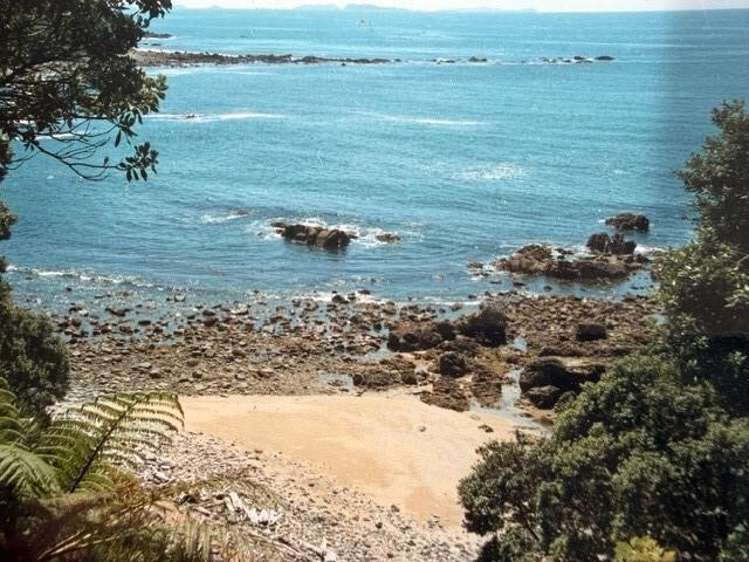 554 Boat Harbour Road Whenuakite_35