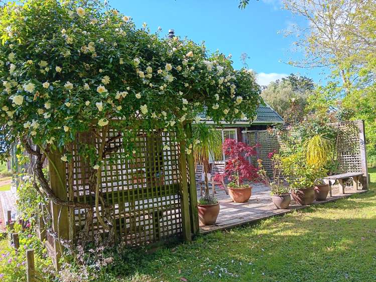 512 Kanohi Road Kaukapakapa_25