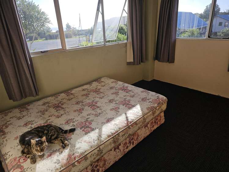 7370 State Highway 6 Charleston_26