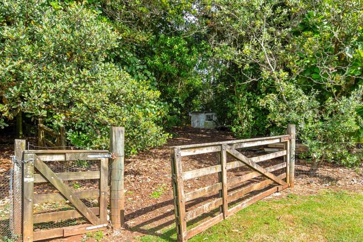 7 Puriri Grange Lane Maunu_11