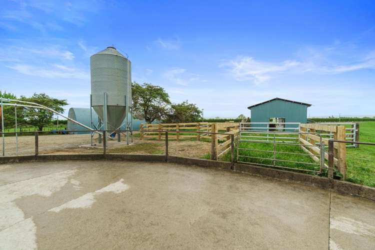 18 Pond Road Matamata_13