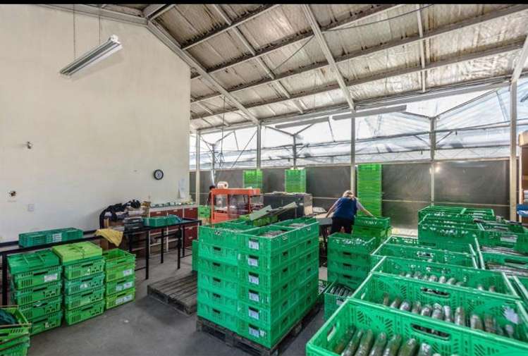 1221 Kaipaki Road Cambridge_13