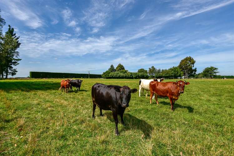 1627 Tramway Road Sheffield_22