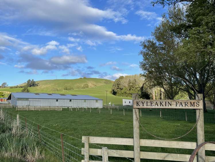 8 Munro Road Lawrence_0