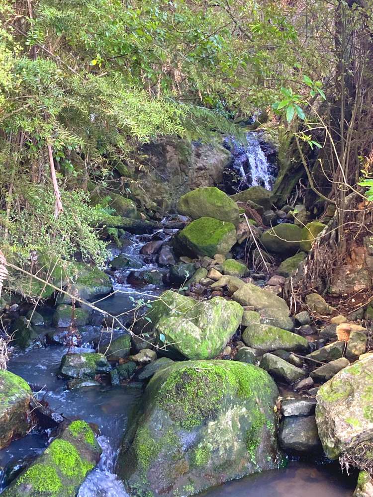 23 Edwin Road Karangahake_49