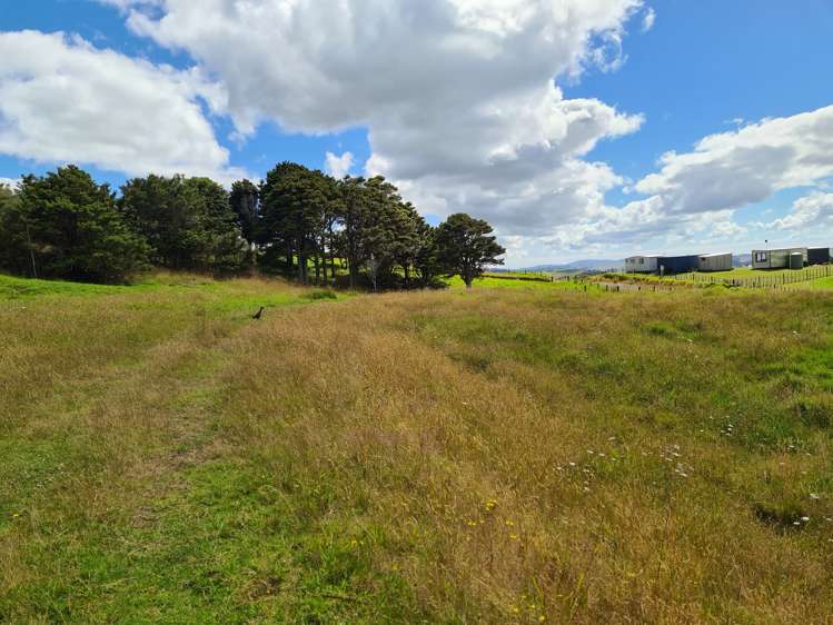 304 Arapaoa Road Tinopai_15