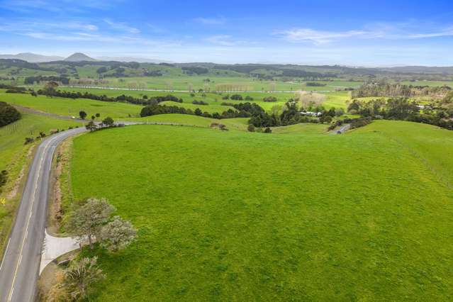 Pukehuia Road Tangiteroria_3