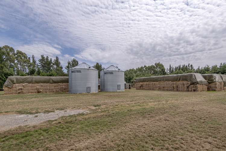 534 Winters Road Pendarves_7