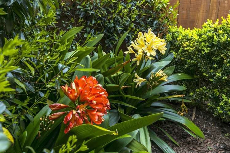 3/38 Old Lake Road Narrow Neck_7