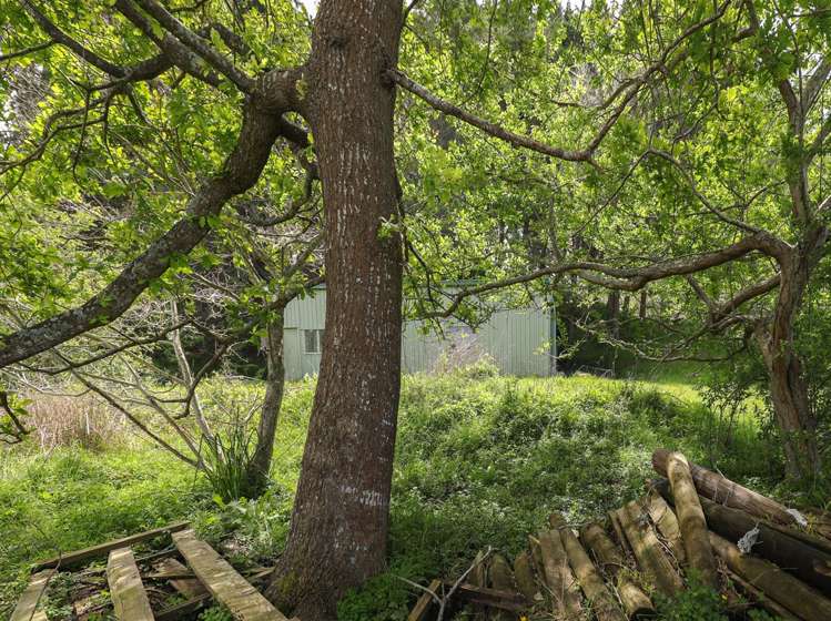 Glen Murray Road Rangiriri_17