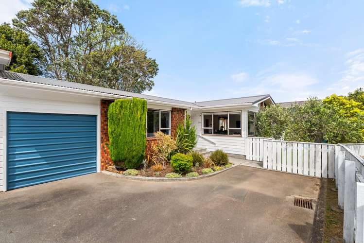 283 Darlington Road Miramar_11