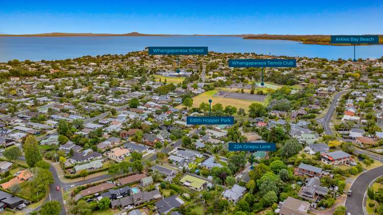 22A Onepu Lane Manly_21