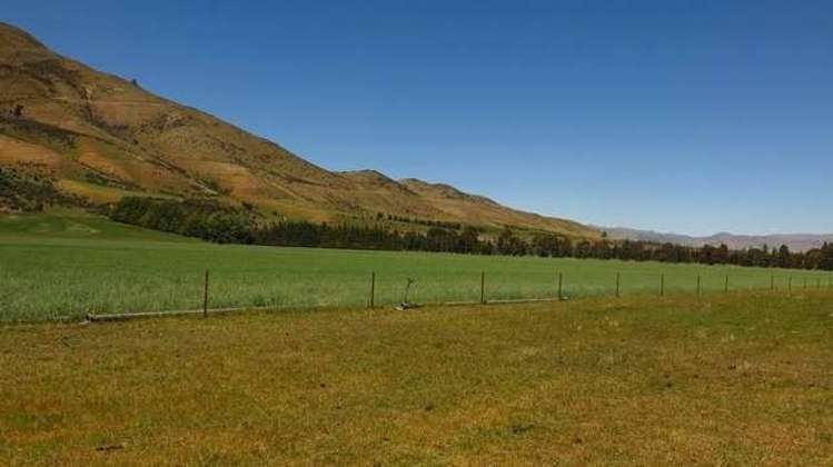 981 Luggate-Tarras Road Westland Surrounds_4