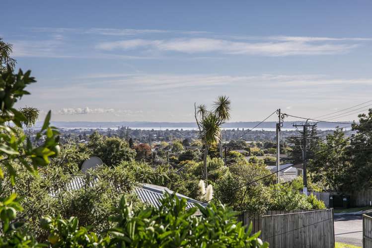 4 Gilliam Street New Lynn_3