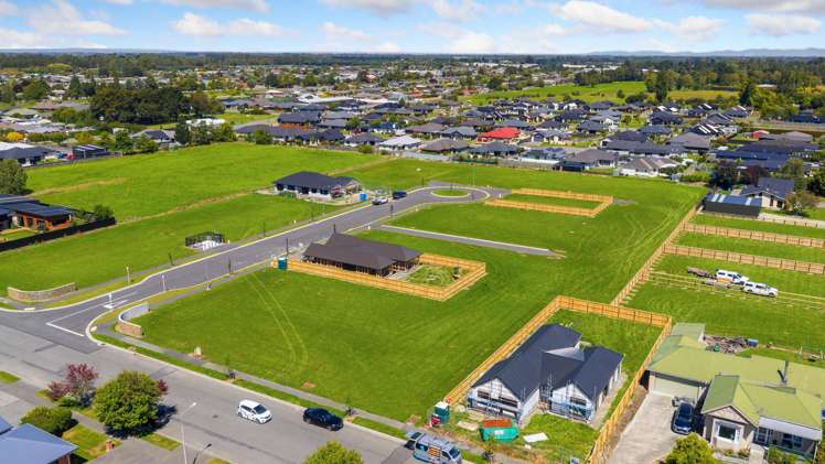 Carlisle Estate Tinwald_22