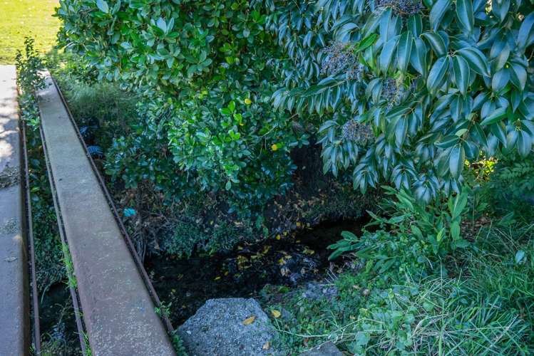 190 Crawford Road Kaiti_7