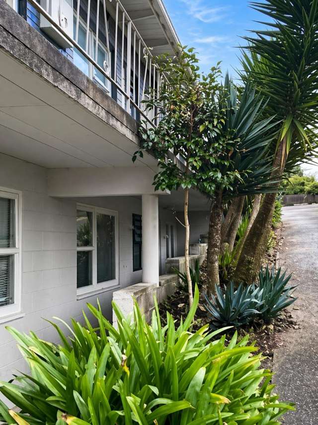 Unit on Te Aroha Street