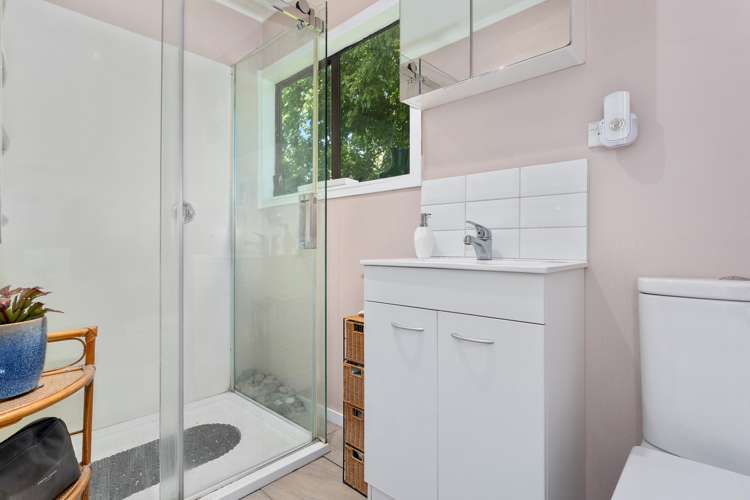 153 Hogg Road Rotoma_8