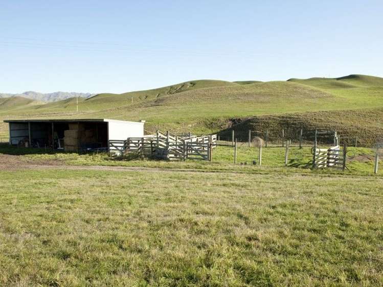 328 Caseys Road Seddon_22