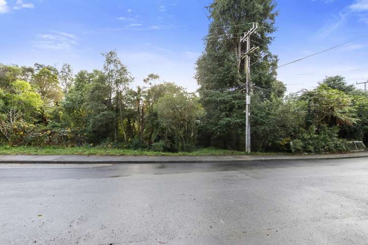 81 Wyndham Road Pinehaven_9