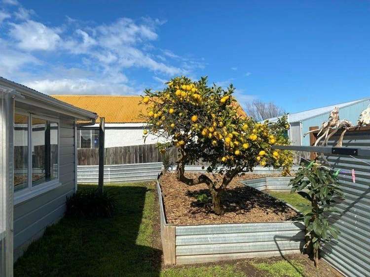 B/18 Wilton Street Levin_6