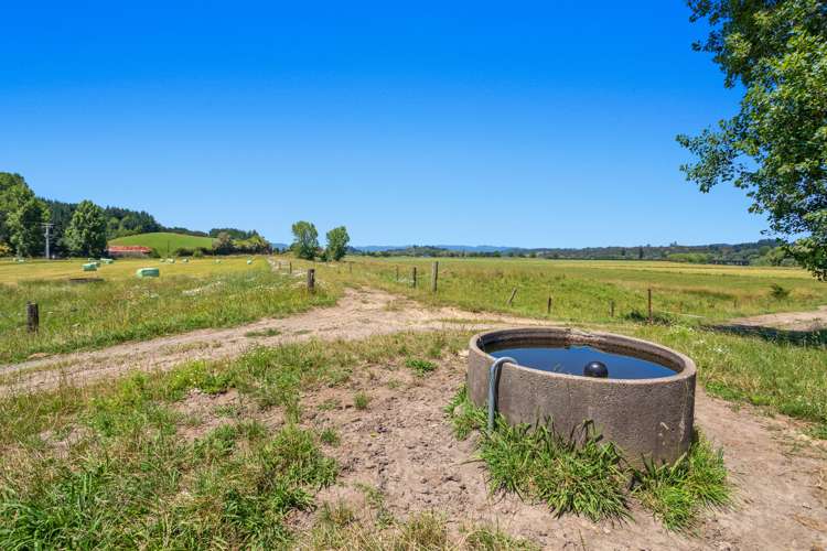 690 Taneatua Road Taneatua_19