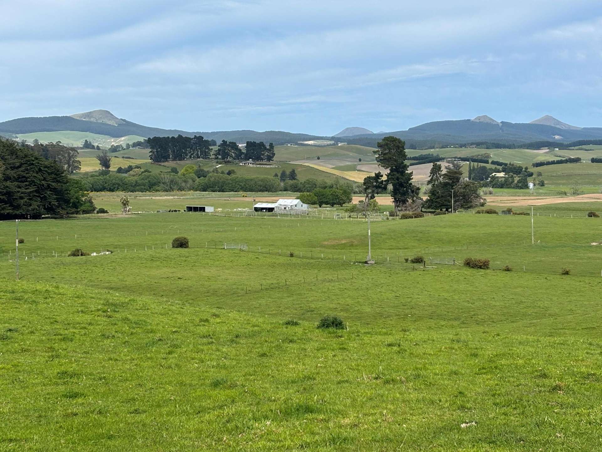 Blacks Road Palmerston_0