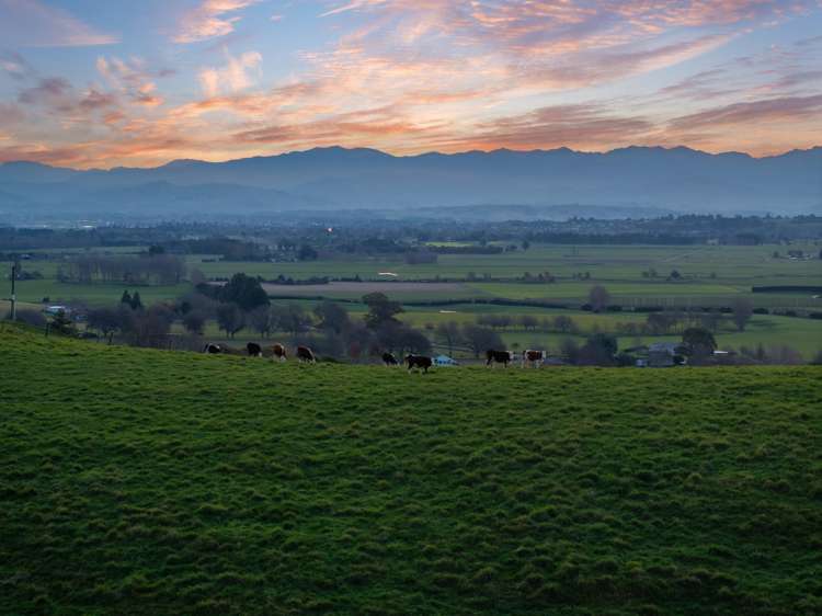 Lot 4 546 Masterton Castlepoint Road_1