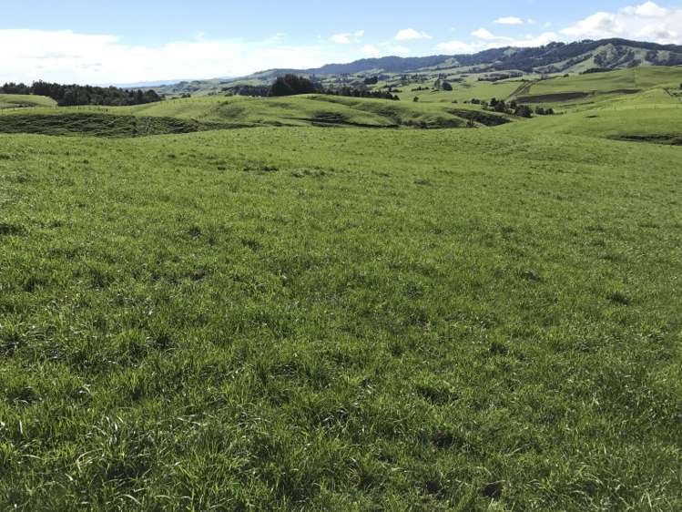 1232 Ngaroma Road Wharepuhunga_13