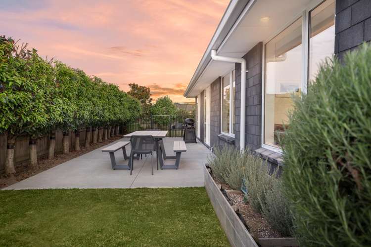 81 Jarrett Terrace Cambridge_18