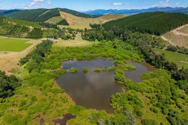 1081 State Highway 63_4