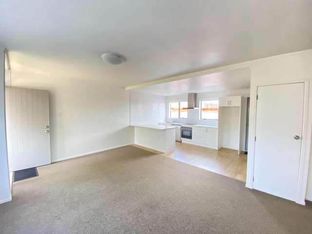 4/9 Ranier Street Ellerslie_3