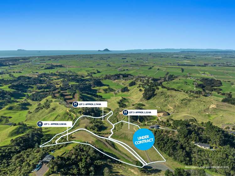 230 Withy Road Matata_19