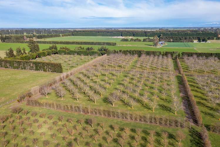 973 Hoskyns Road West Melton_6